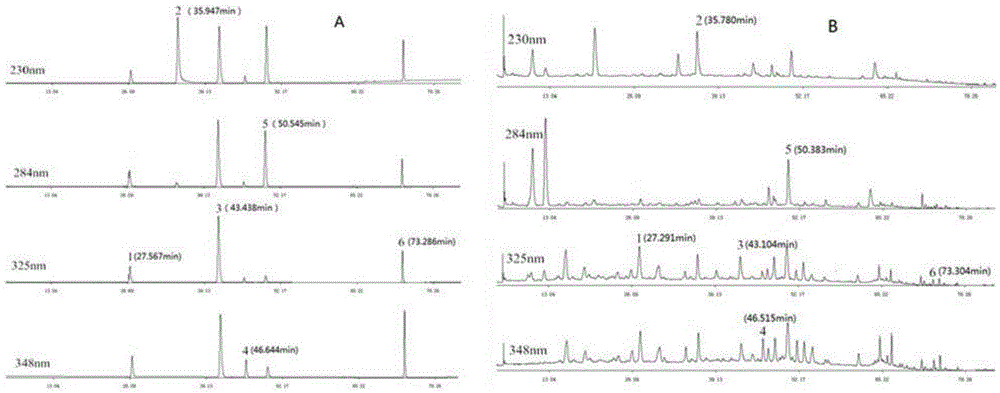 Multiple index component content determination, fingerprint building and preparation methods of liver-tonifying eyesight-improving oral liquid