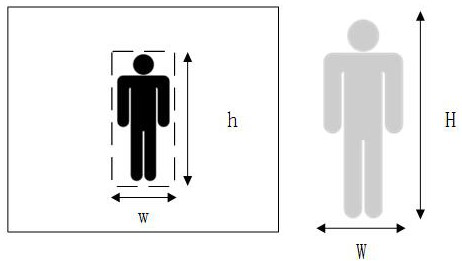 Monocular real-time distance measurement method based on target pixel area and aspect ratio