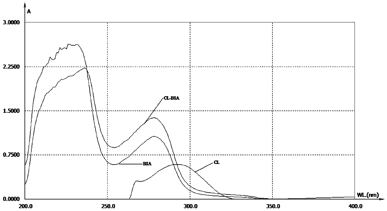 Clarithromycin derivatives and their preparation methods and applications