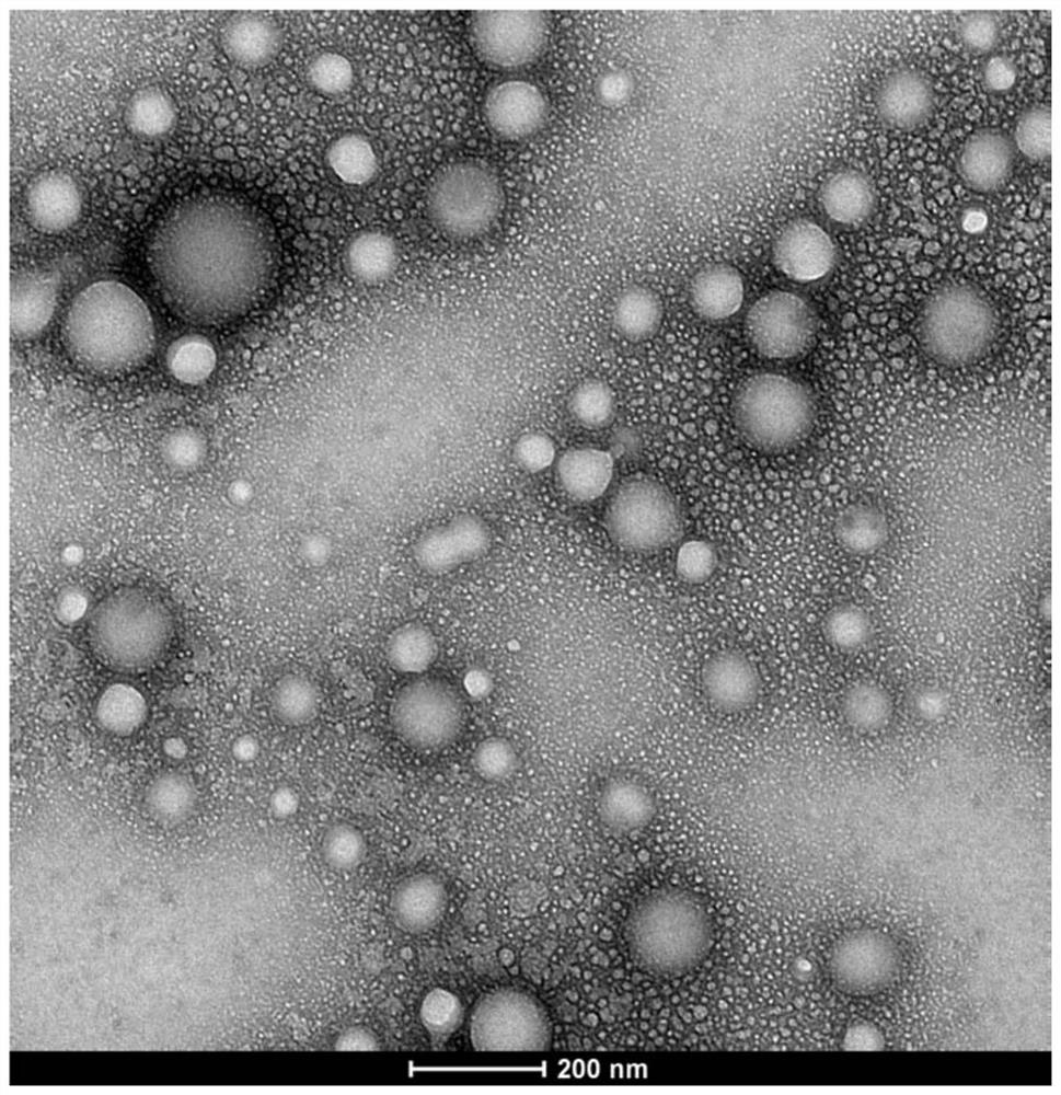 Polymer vesicle, preparation method thereof and drug-loaded vesicle