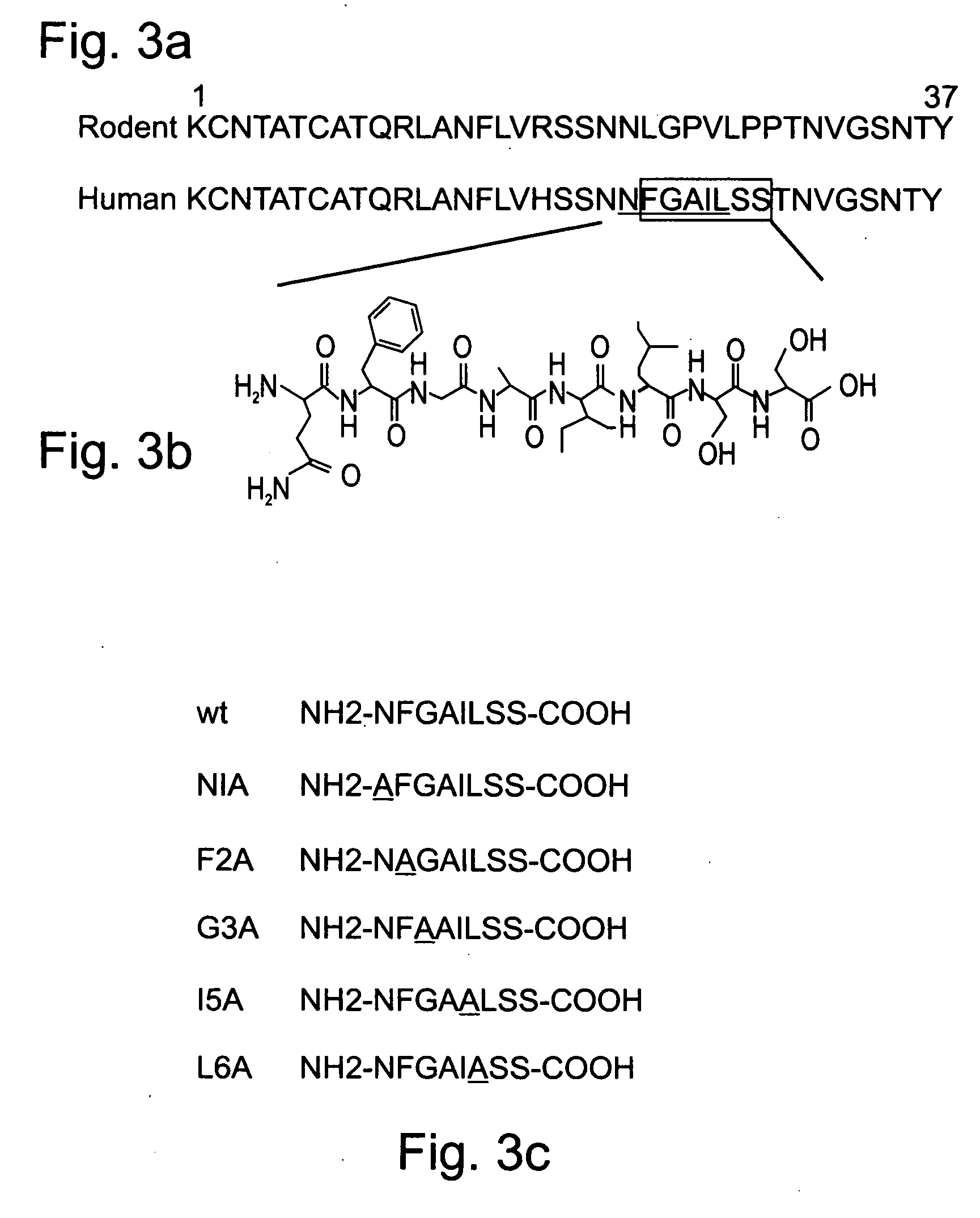 Peptides antibodies directed thereagainst and methods using same for diagnosing and treating amyloid-associated diseases