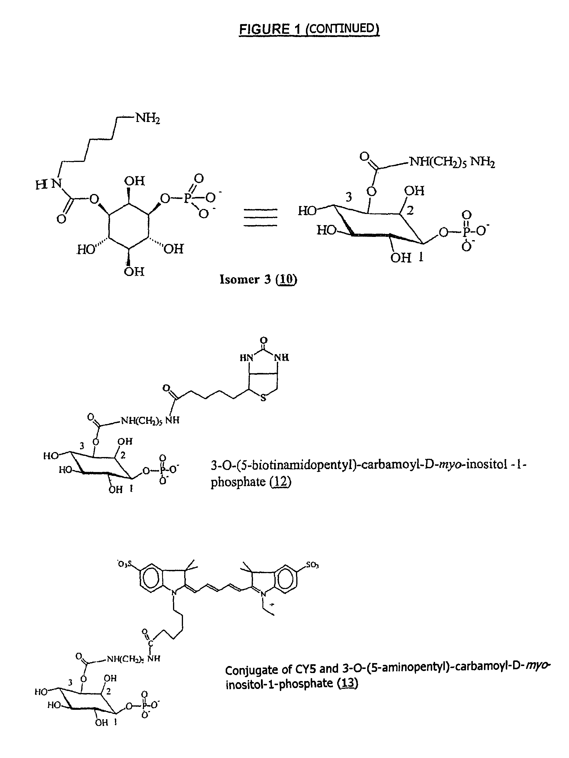 Inositol-phosphate derivatives and method of detecting inositol-1-phosphate