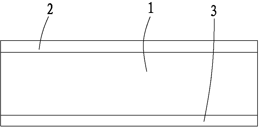 Current collector structure of positive electrode of lithium ion battery and battery including structure