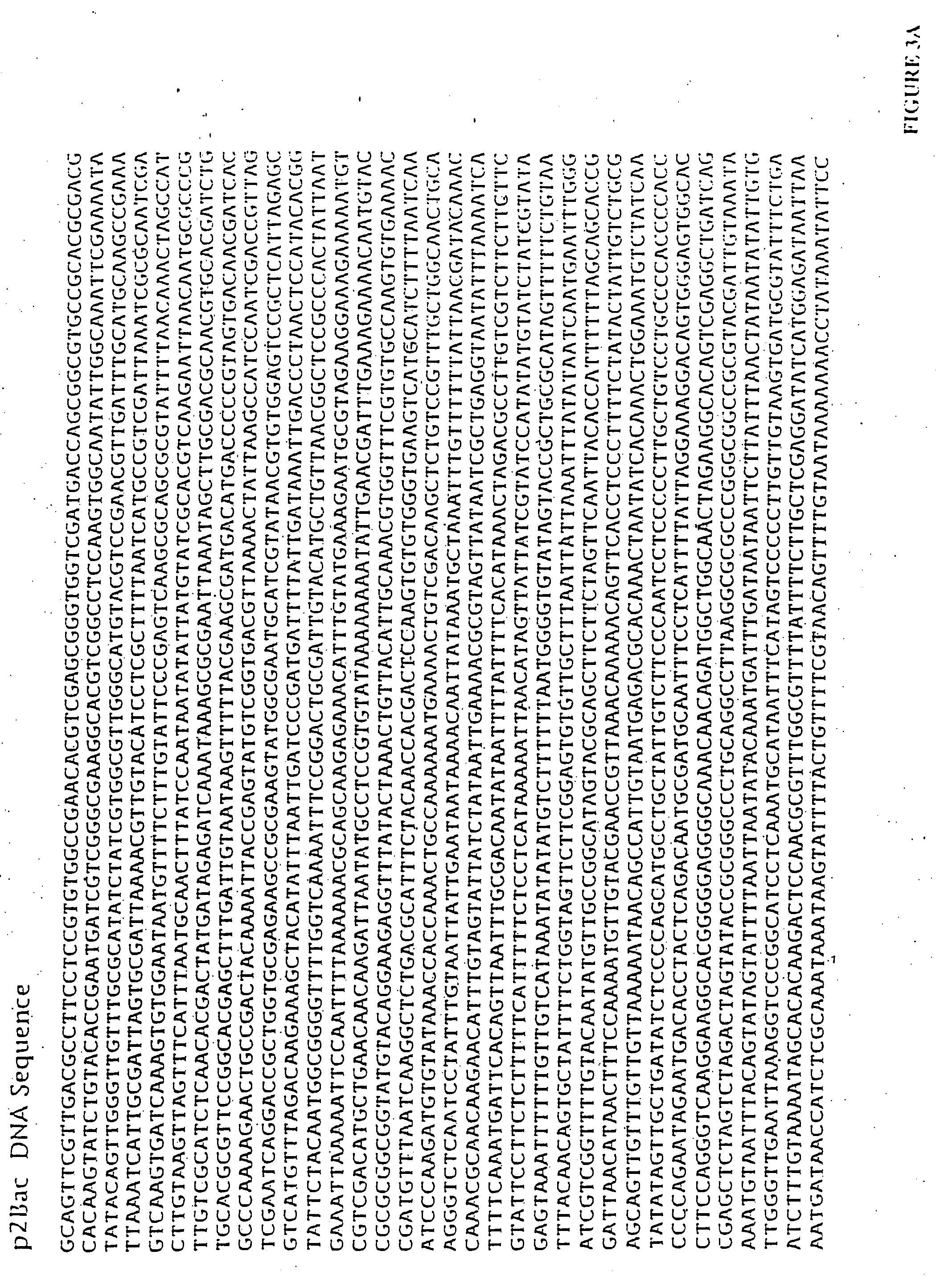 Method and composition for altering a B cell mediated pathology