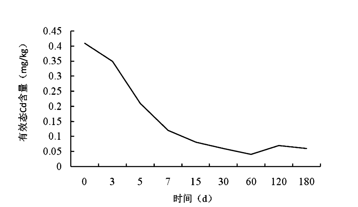 Biochar-based bacterial composite soil conditioner as well as preparation and application thereof