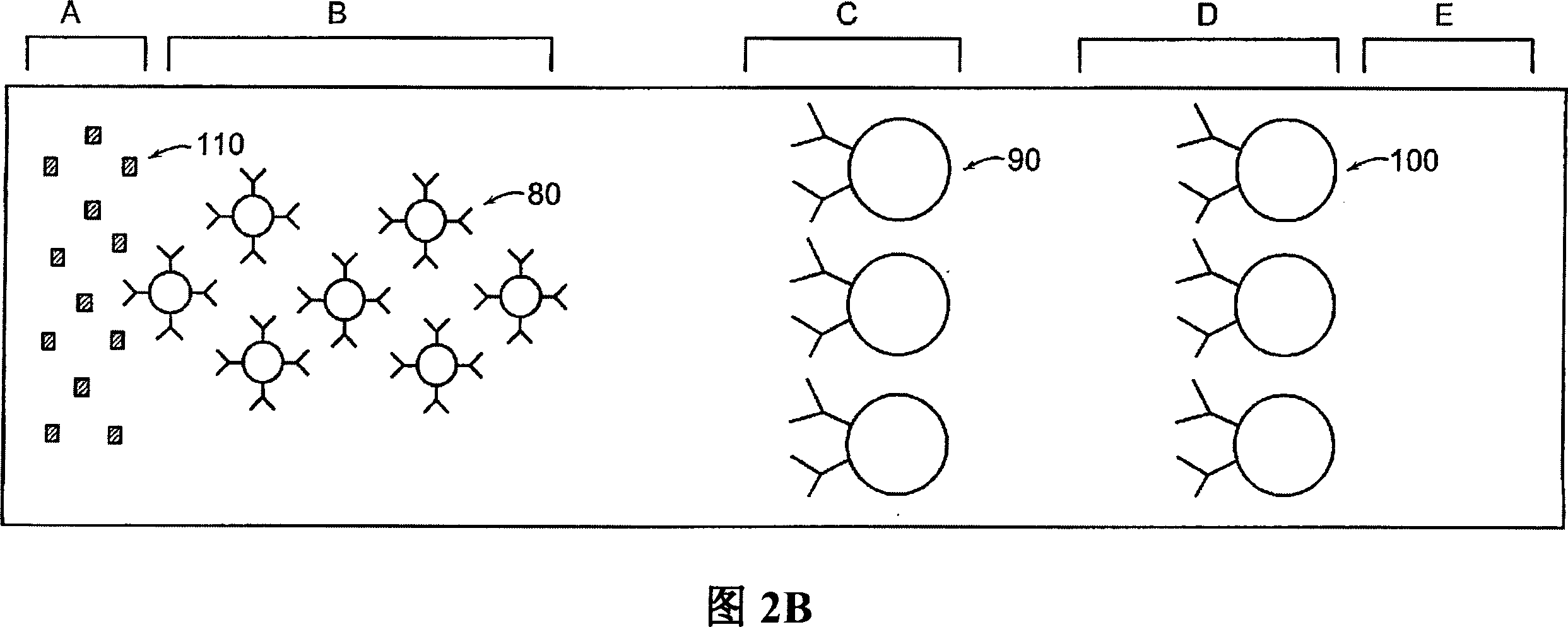 Lateral flow format, materials and methods