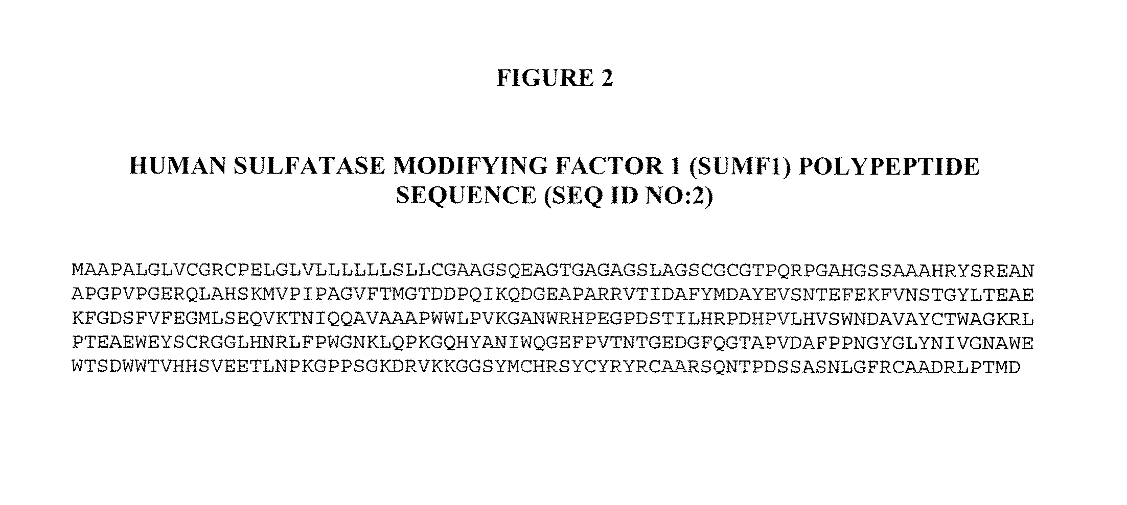 Manufacture of active highly phosphorylated human lysosomal sulfatase enzymes and uses thereof