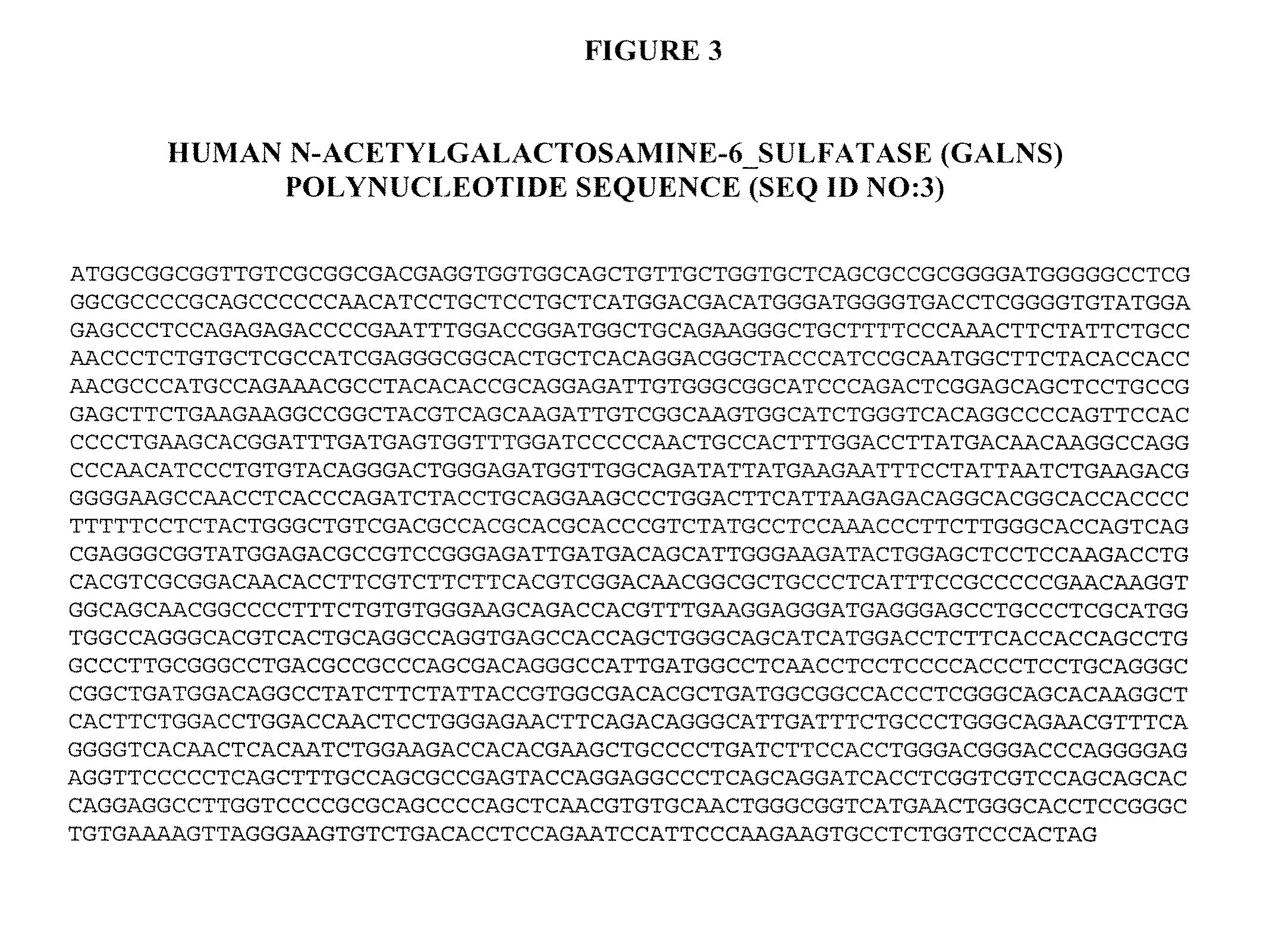 Manufacture of active highly phosphorylated human lysosomal sulfatase enzymes and uses thereof