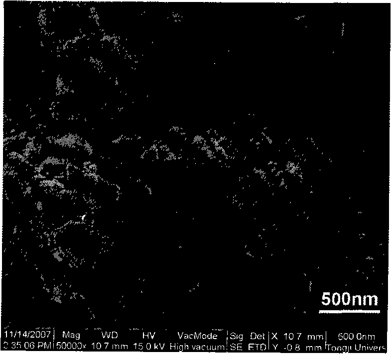 Method for preparing nano-stage naphthylamine sulfonate and aniline copolymer