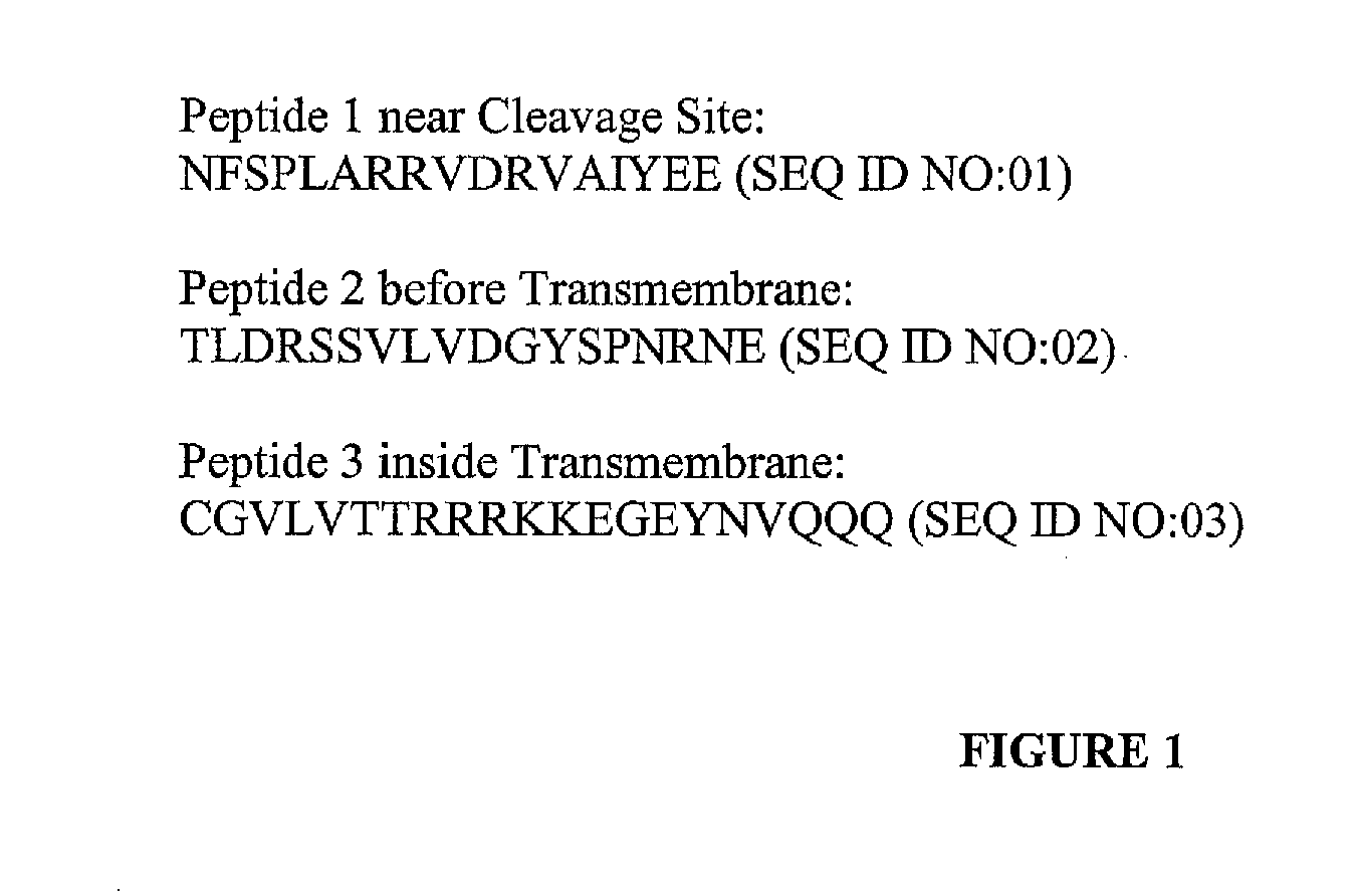 Antibodies to muc16 and methods of use thereof