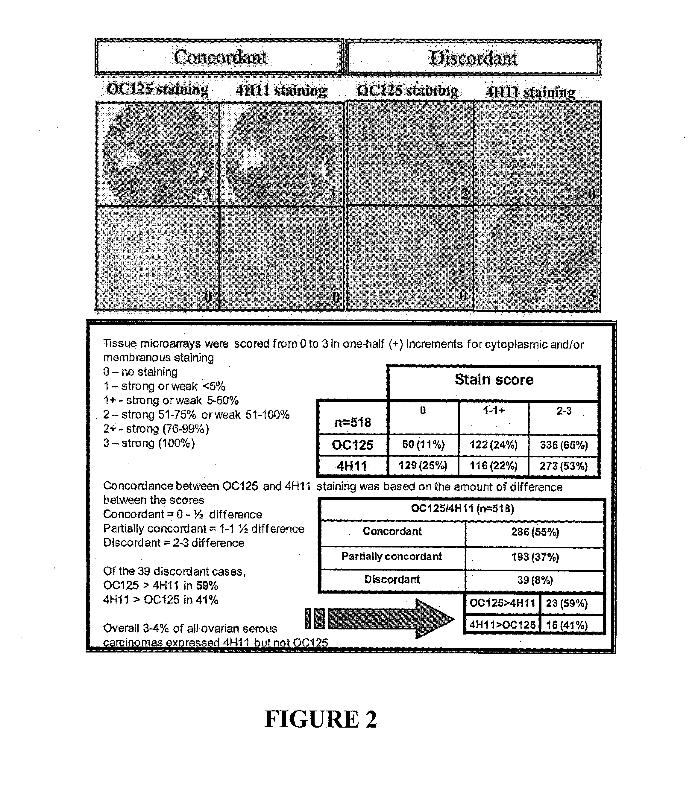 Antibodies to muc16 and methods of use thereof