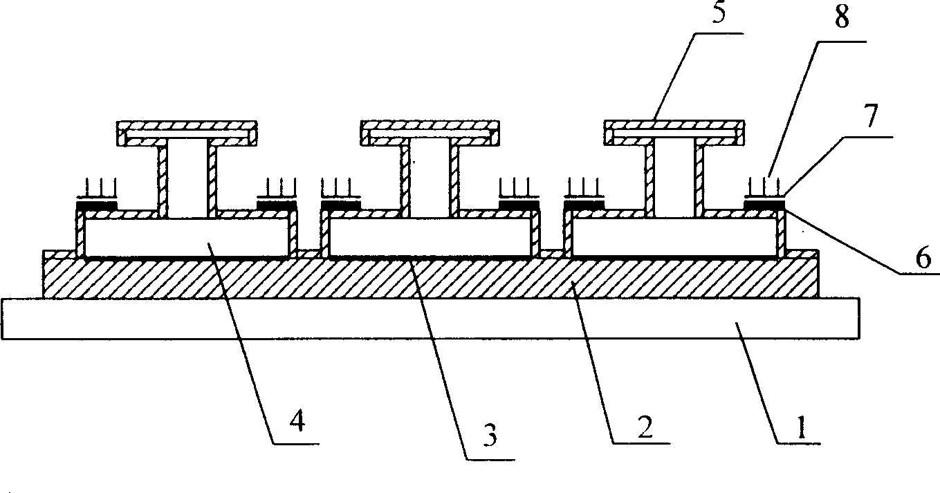 Flat panel display of large area cathode round high grid structure and its producing process