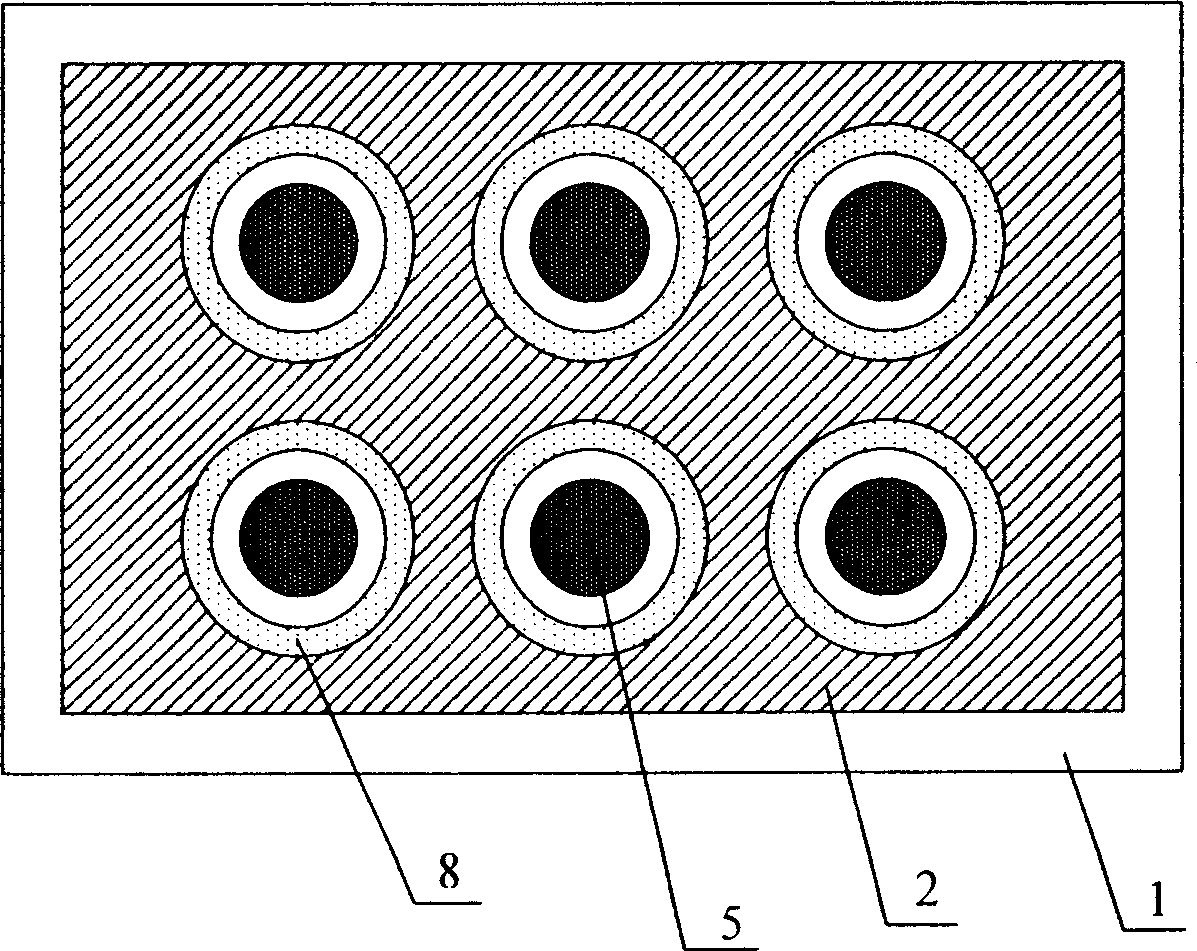 Flat panel display of large area cathode round high grid structure and its producing process