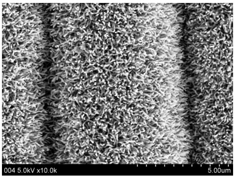 Preparation method of epoxy resin composite material strengthened by in situ growth of CNT (carbon nano tube) on surface of quartz fibre