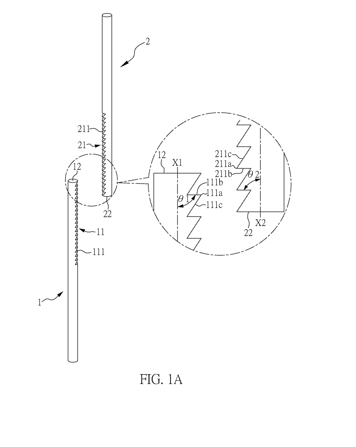 Spine correction apparatus