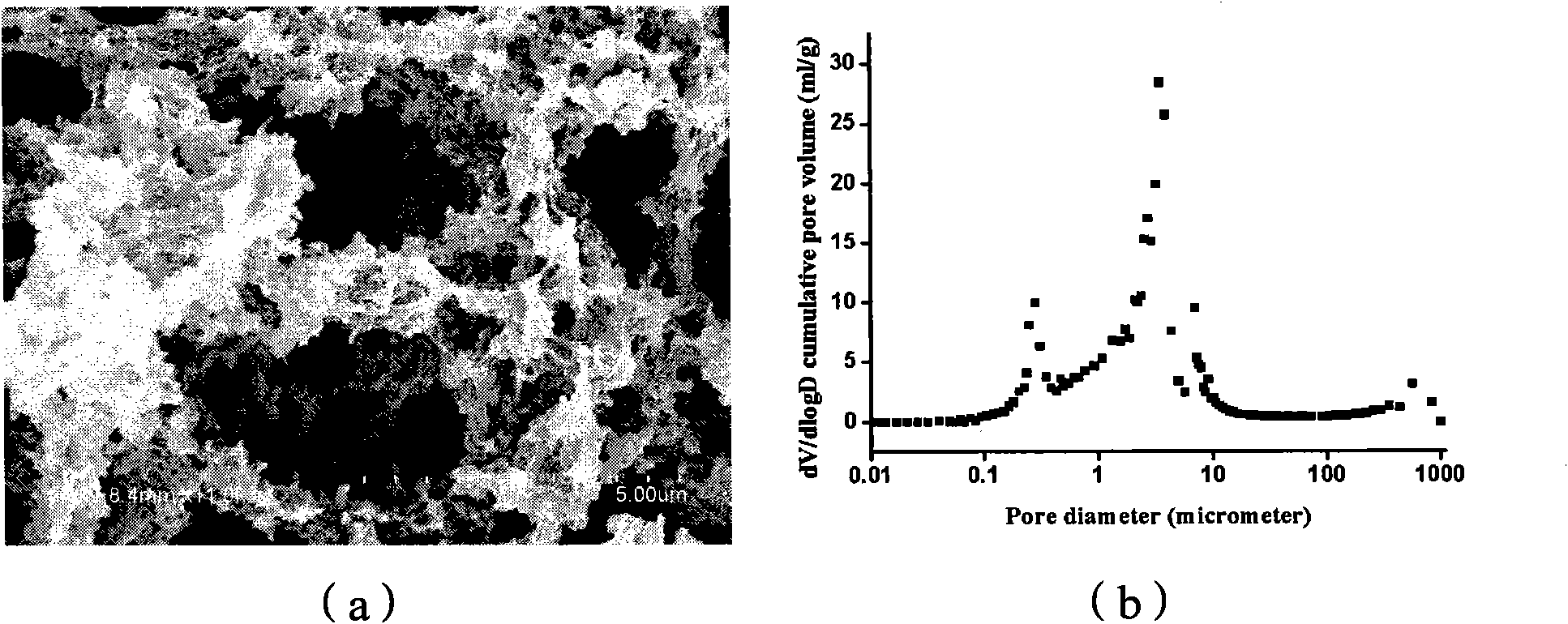 Conductive polymer aerogel and preparation method thereof