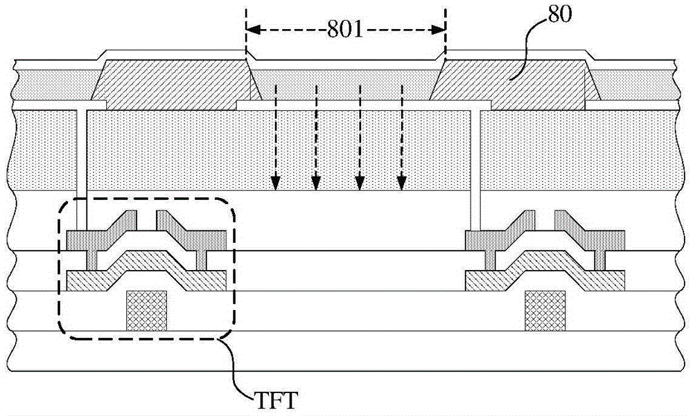 Bottom light emitting type OLED display panel