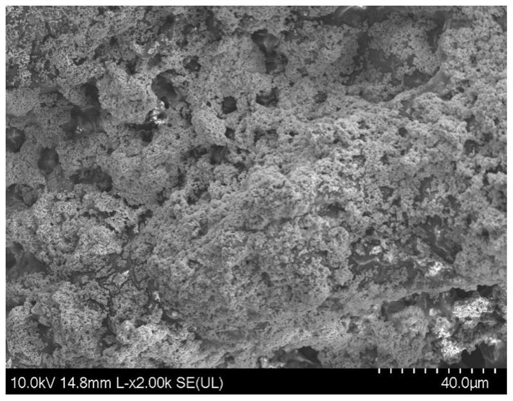 Supported catalyst filter fiber for catalytically degrading pollutants in water and preparation method and application of supported catalyst filter fiber