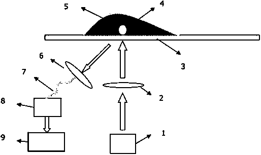 Method for measuring content of powdery substantial elements based on laser-induced breakdown spectroscopy