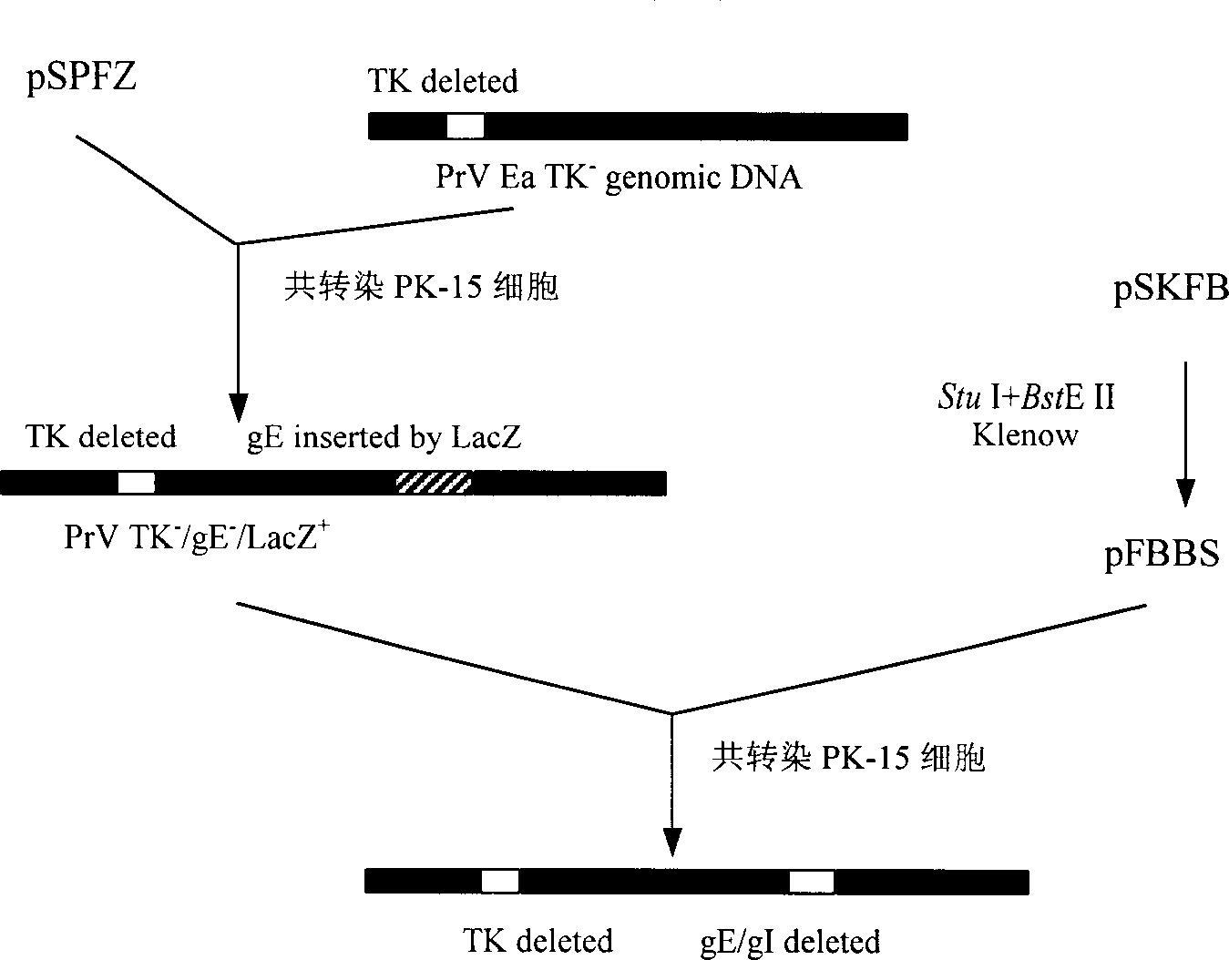 Pseudorabies TK*/gE*/gI* gene dificiency mark live vaccine and preparation method thereof