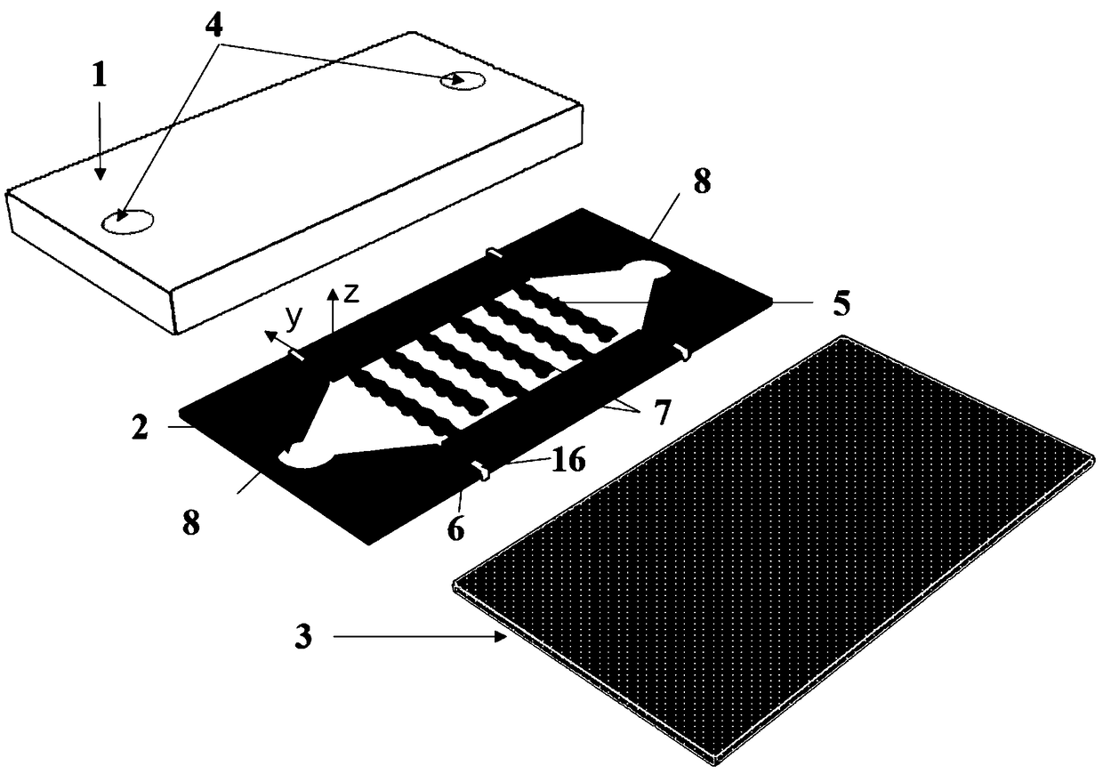 Dielectrophoresis micro-fluidic chip for selecting and focusing cells as well as alignment-free microprocessing method thereof