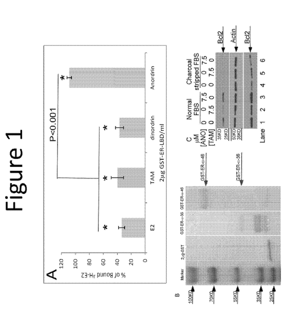 Anordrin compositions and methods for treating diseases