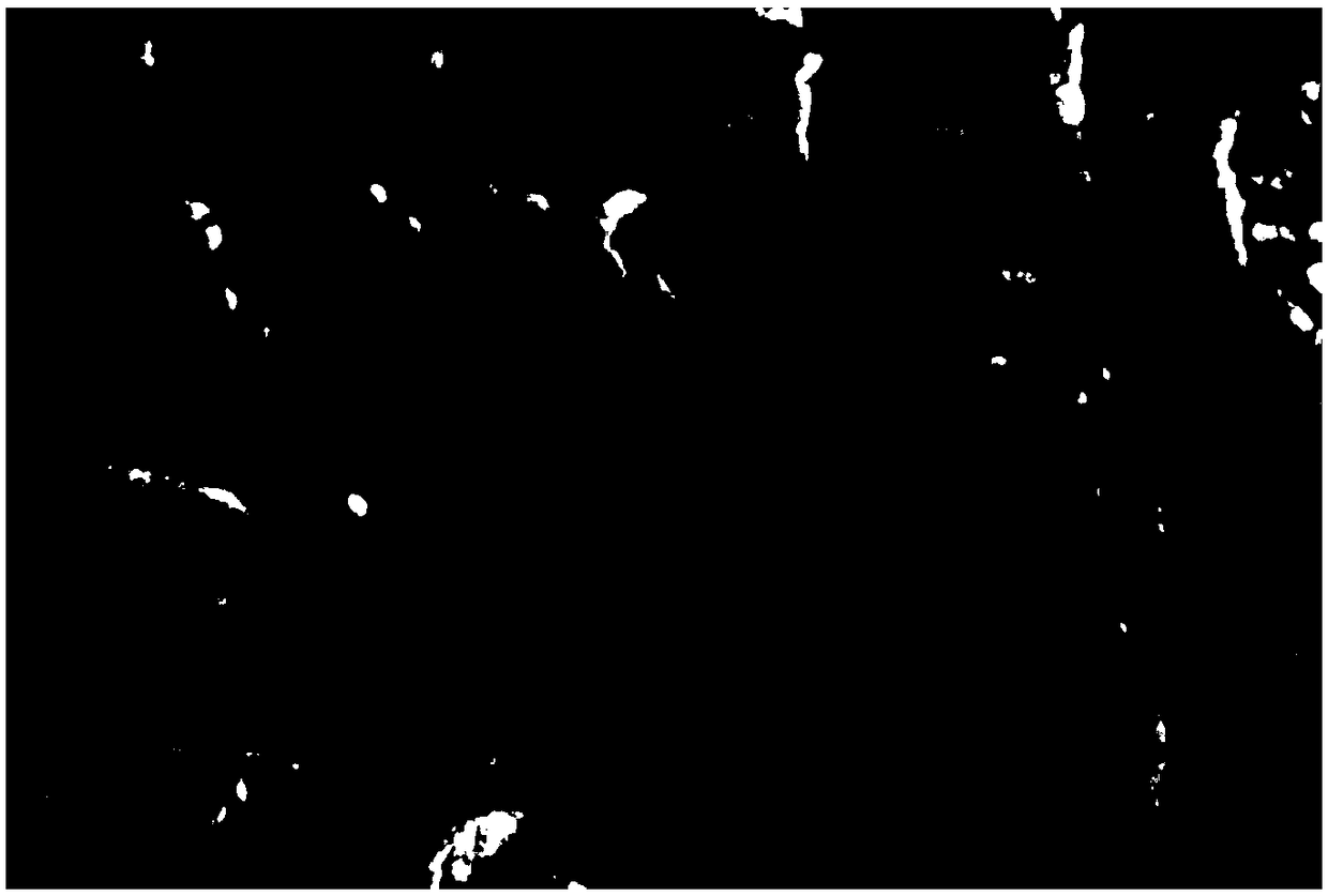 Method for preparing epsilon-caprolactone by using carbon nanotube