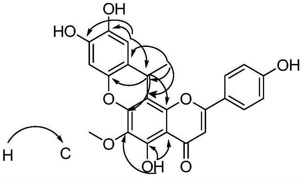 Flavonoids and their preparation methods and applications