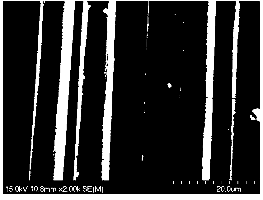 Chemical vapor deposition method of Si-B-C-N amorphous ceramic