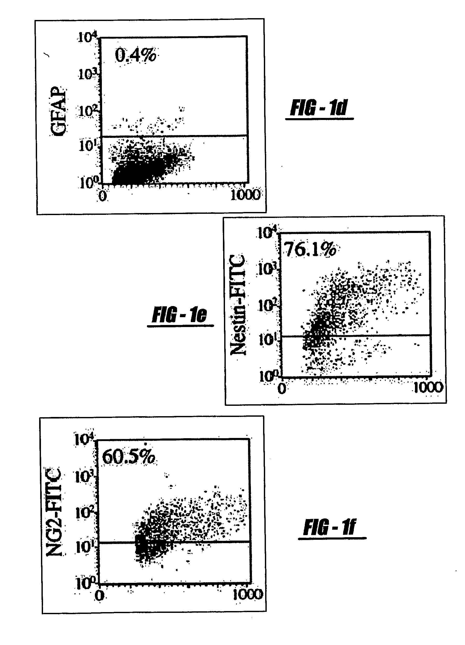 Pericytes for use as stem cells