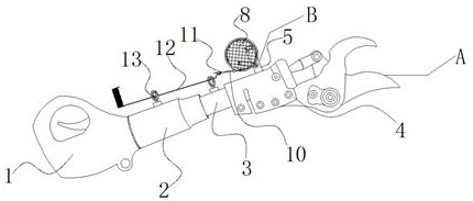 A collection device and collection method for the mature cones of Fanjingshan fir