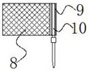 A collection device and collection method for the mature cones of Fanjingshan fir