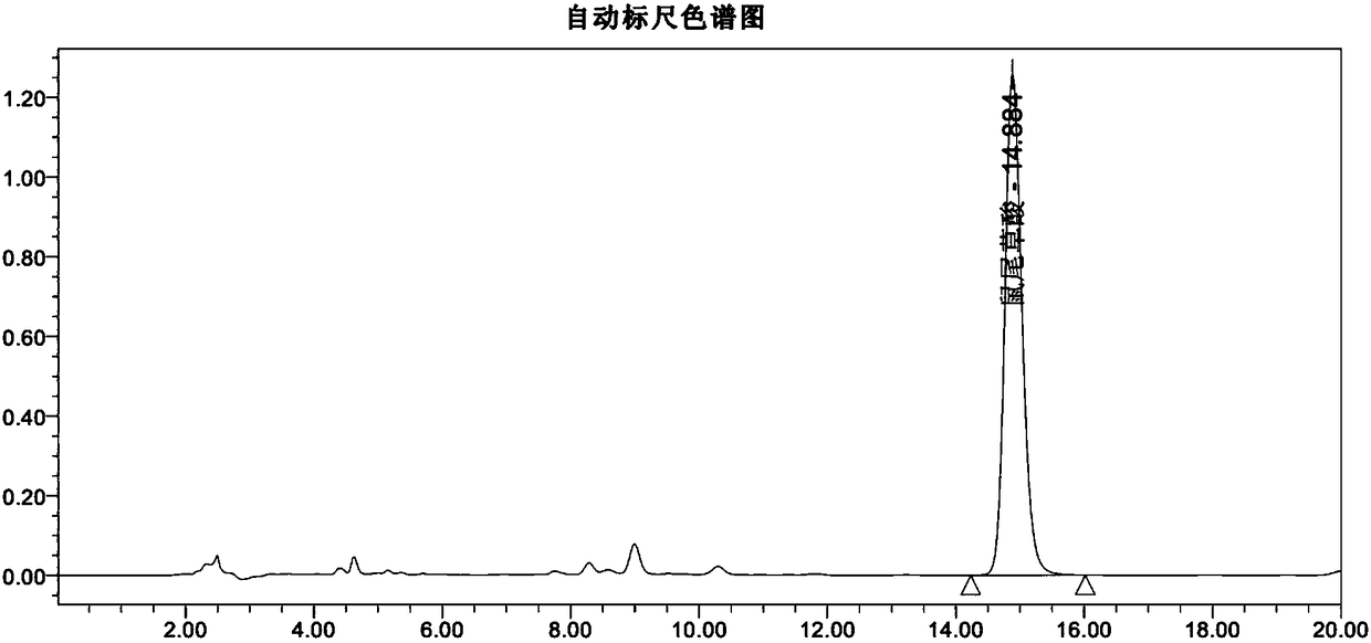 Method for refining carnosic acid through molecule distillation