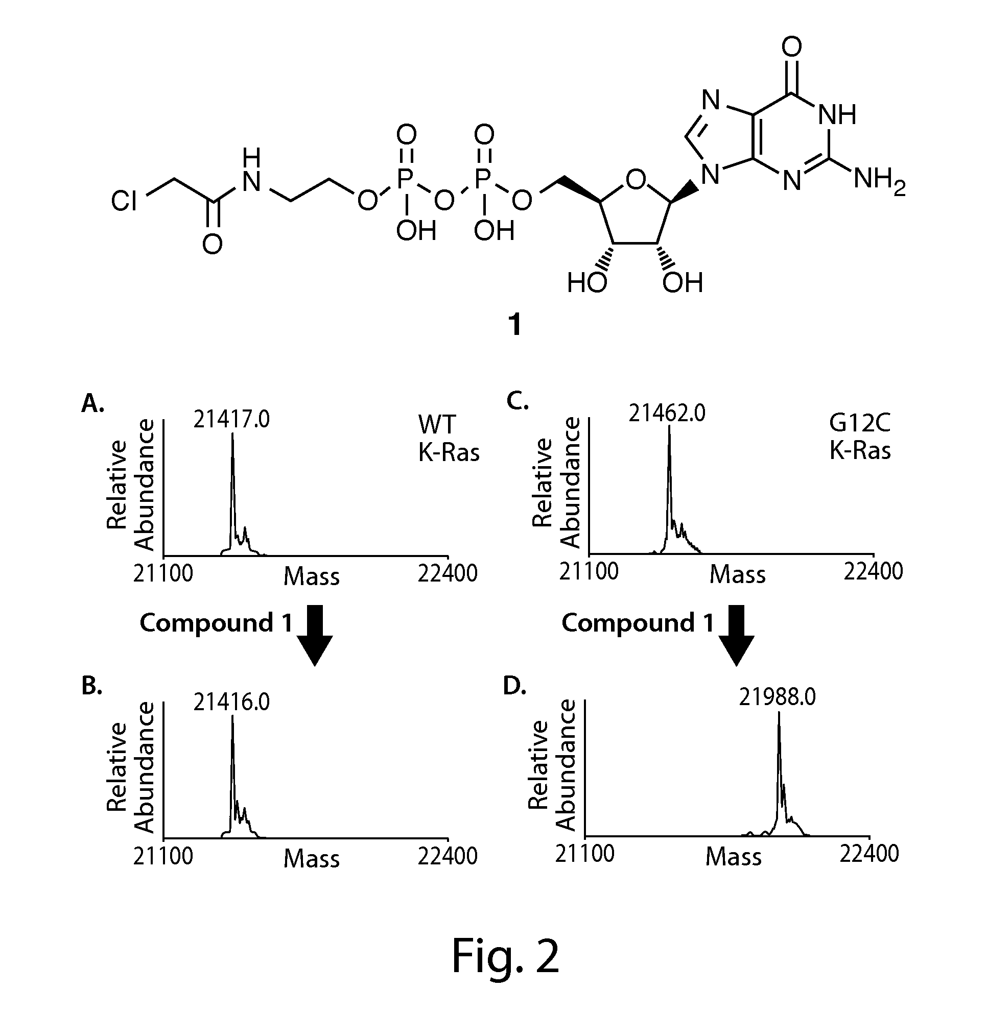 Ras inhibitors and uses thereof