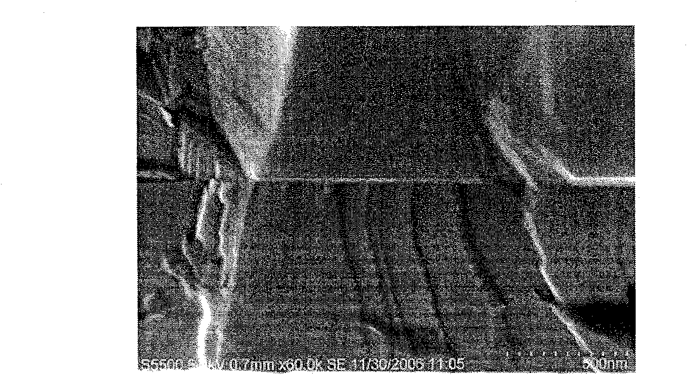 Wafer linking boride surface treating pigment as well as linking method