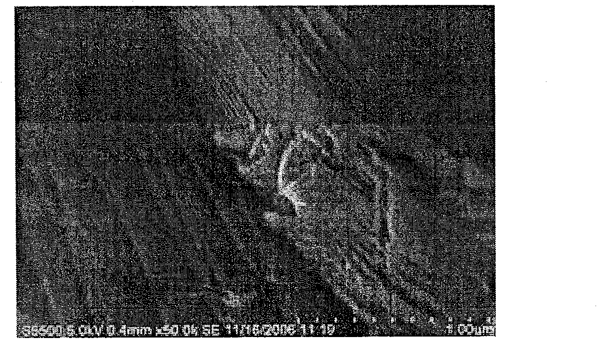 Wafer linking boride surface treating pigment as well as linking method