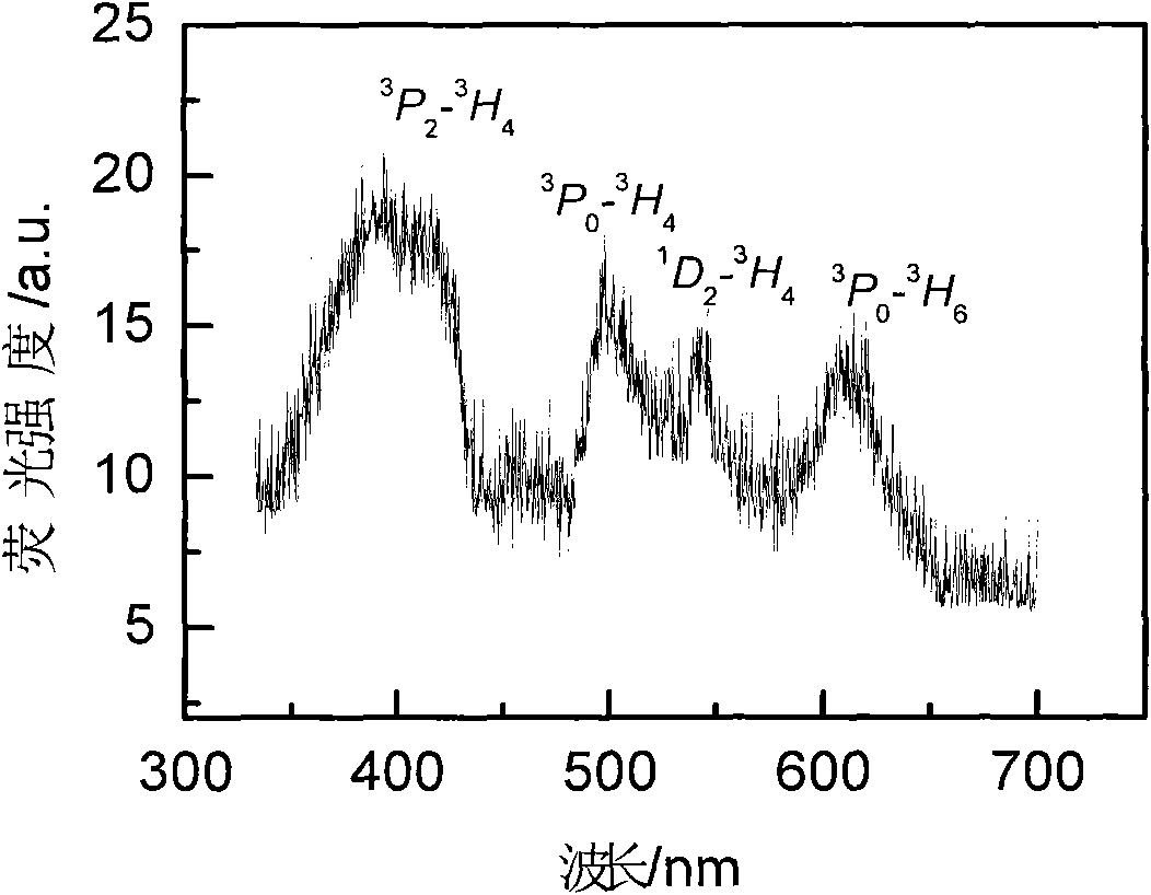 Rare earth ion doped oxyhalogen silicate glass and preparation method thereof