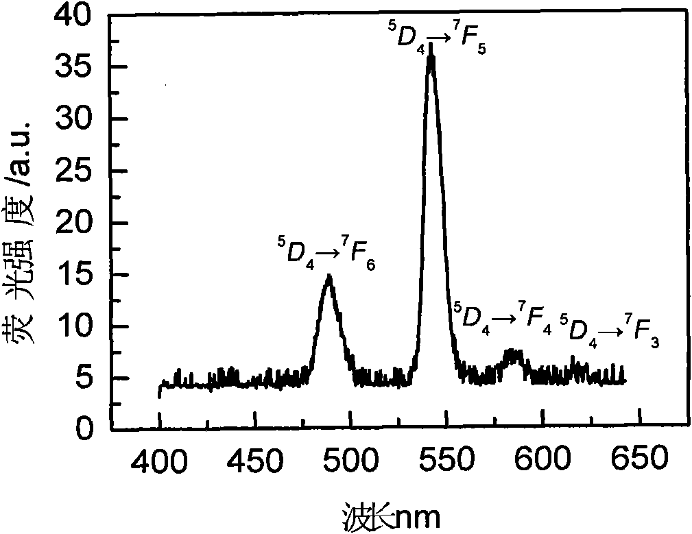 Rare earth ion doped oxyhalogen silicate glass and preparation method thereof