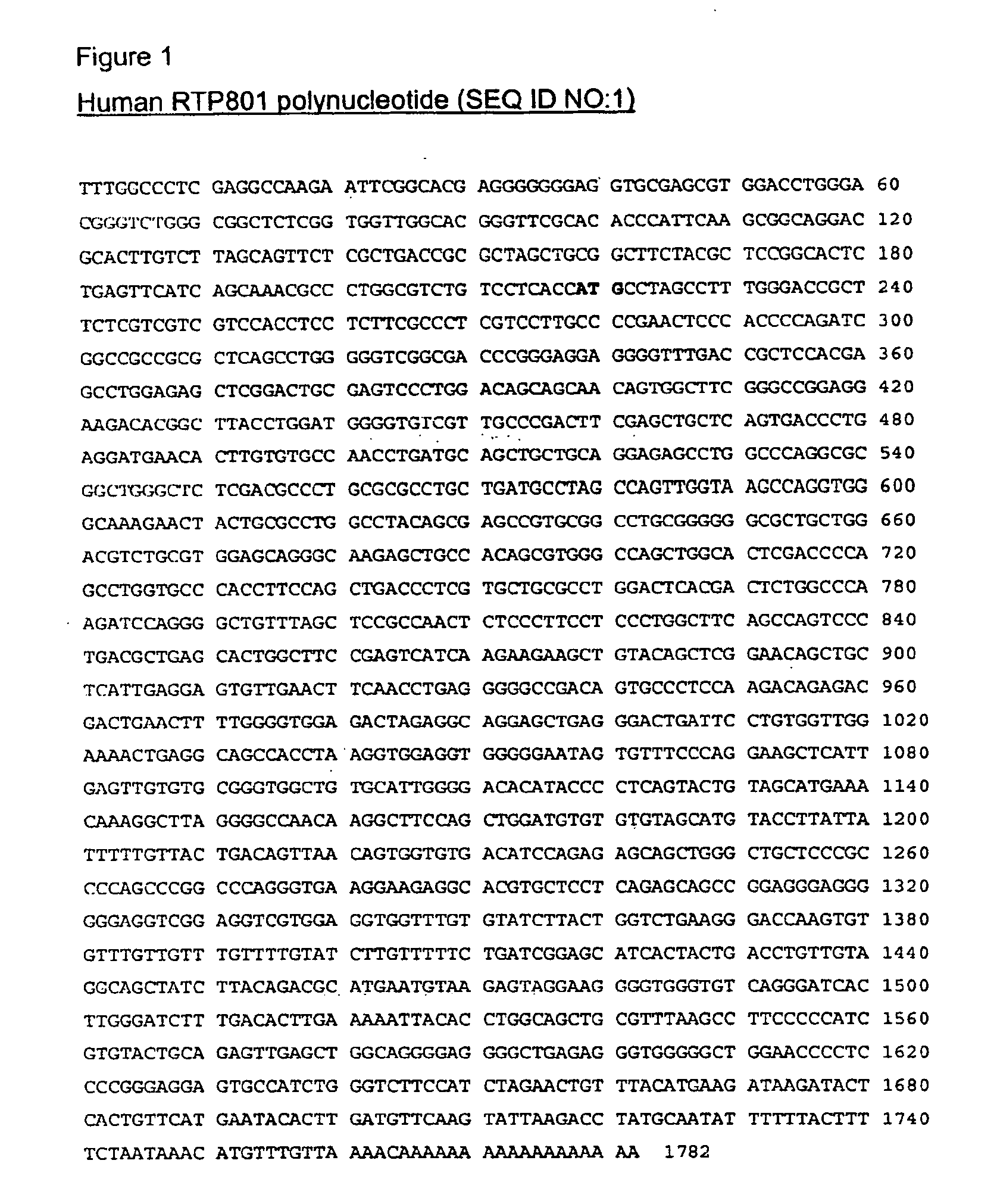 Therapeutic uses of inhibitors of RTP801