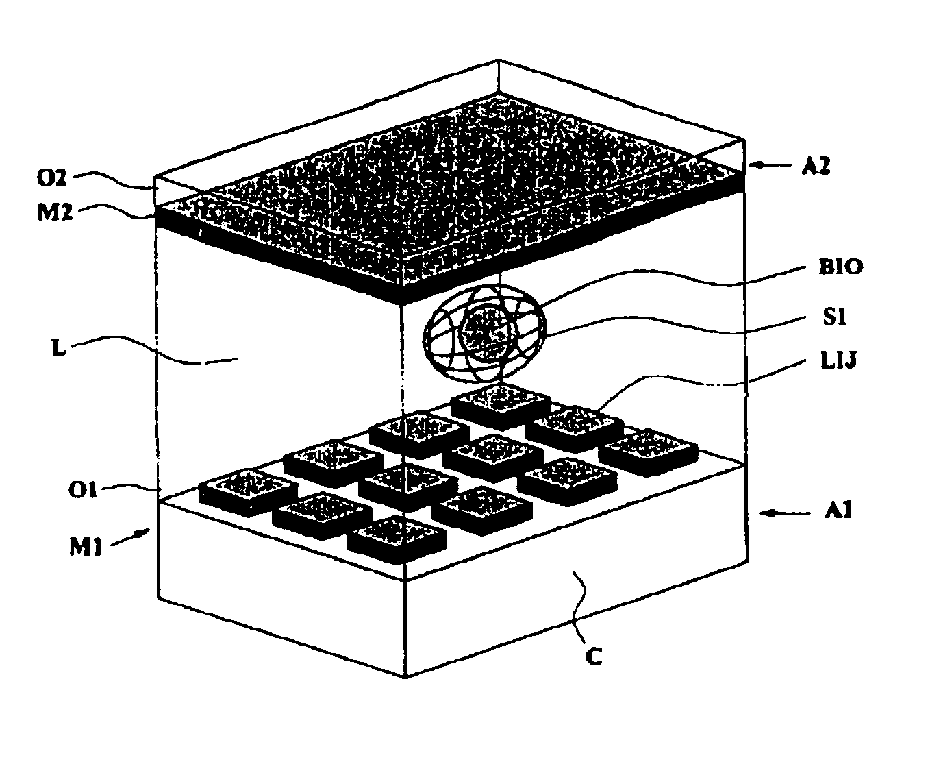 Method and apparatus for the manipulation of particles by means of dielectrophoresis