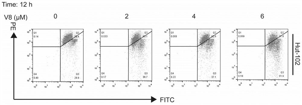 Application of flavonoid derivative CPU-008 in preparation of anti-lymphoma medicine