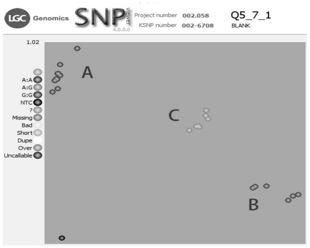 A Molecular Marker Linked to Capsicum Green Retention Gene and Its Application