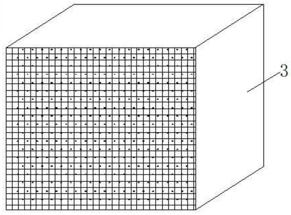 Target area adjustable type batch animal ionizing radiation local irradiation fixing and shielding device and method thereof