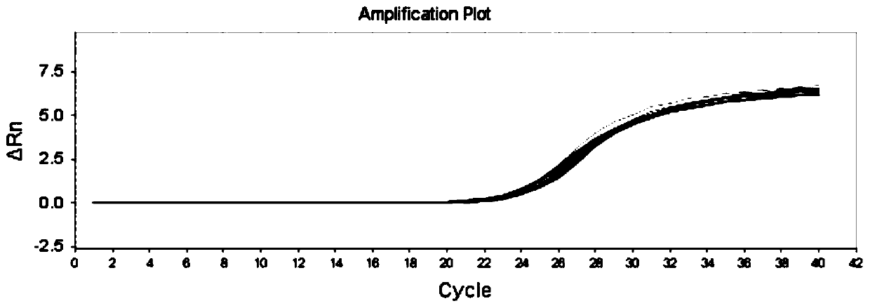 Specific primer, probe and kit for detecting EGFR gene L858R mutation based on digital PCR technology