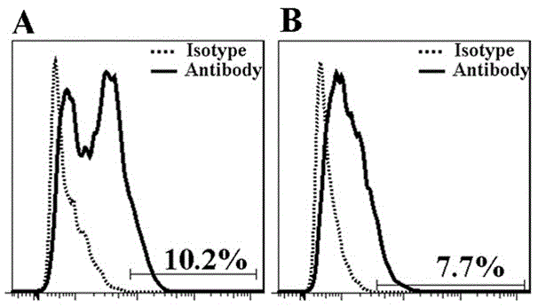 Inhibition application of respiratory chain compound V in colorectal cancer stem cell treatment