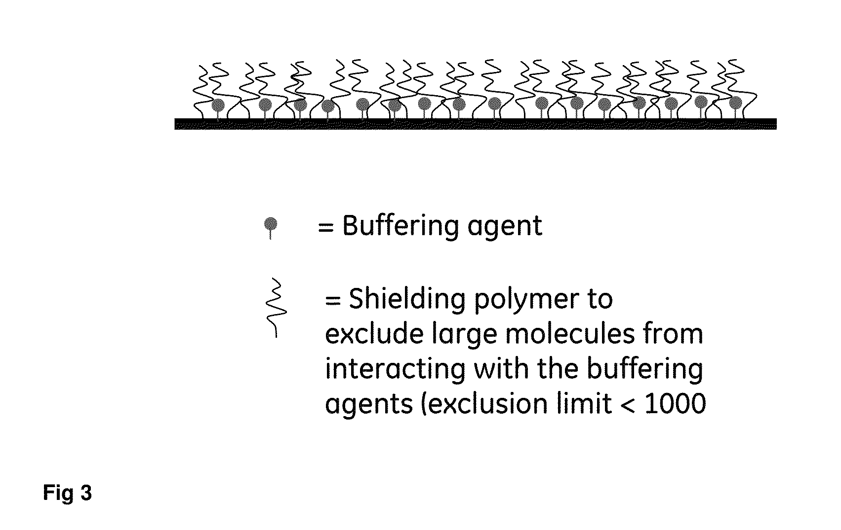 Buffering compositions enclosed in a size exclusion matrix