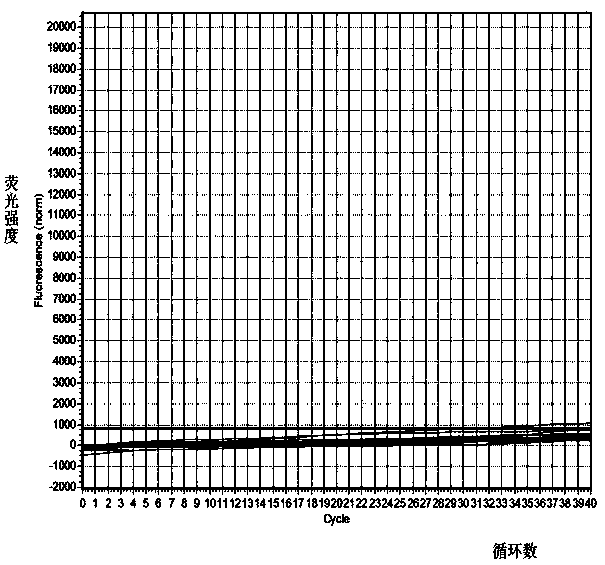 Method for preparing and detecting quick detection kit of raccoon component in foods and feeds