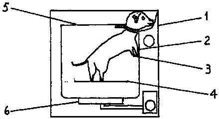 Pet bathing method and pet bathing device