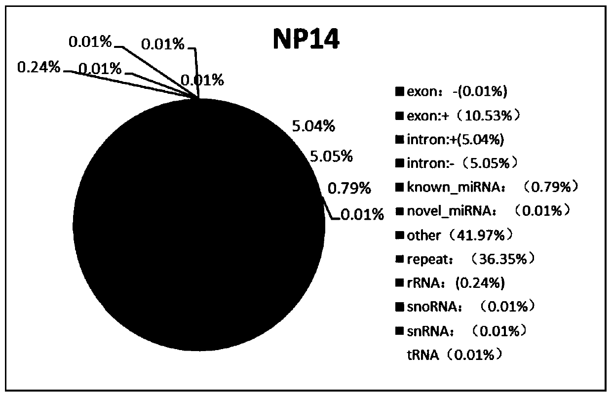 Exosome miRNA marker for early pregnancy diagnosis of sows and application of exosome miRNA marker