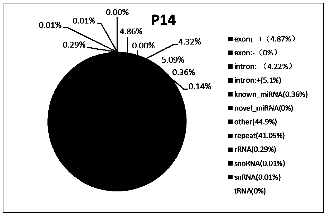 Exosome miRNA marker for early pregnancy diagnosis of sows and application of exosome miRNA marker